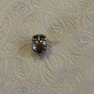 Pandora charm